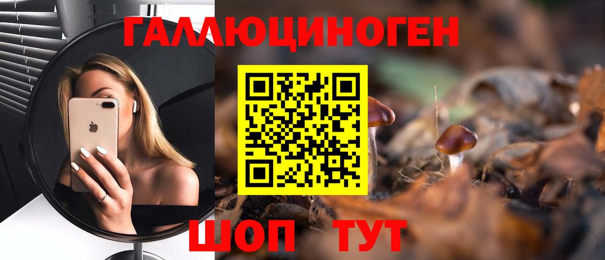 Псилоцибиновые грибы GOLDEN TEACHER Кстово